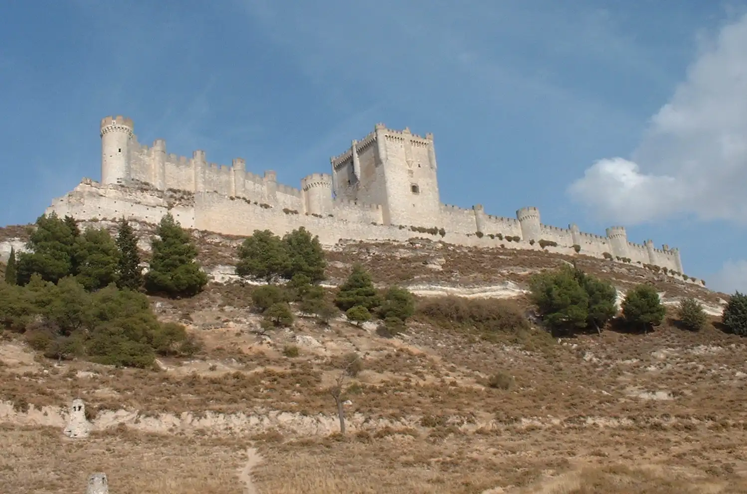 Castillo alargado sobre cerro en Peñafiel.