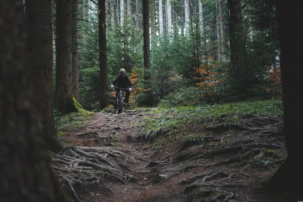 Ciclismo de montaña en bosque frondoso